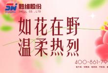 勝維股份 | 致敬所有女性無畏向前，自成光芒